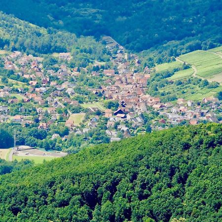 La Couette Enchantee - Parking - Zimmerbach Bagian luar foto
